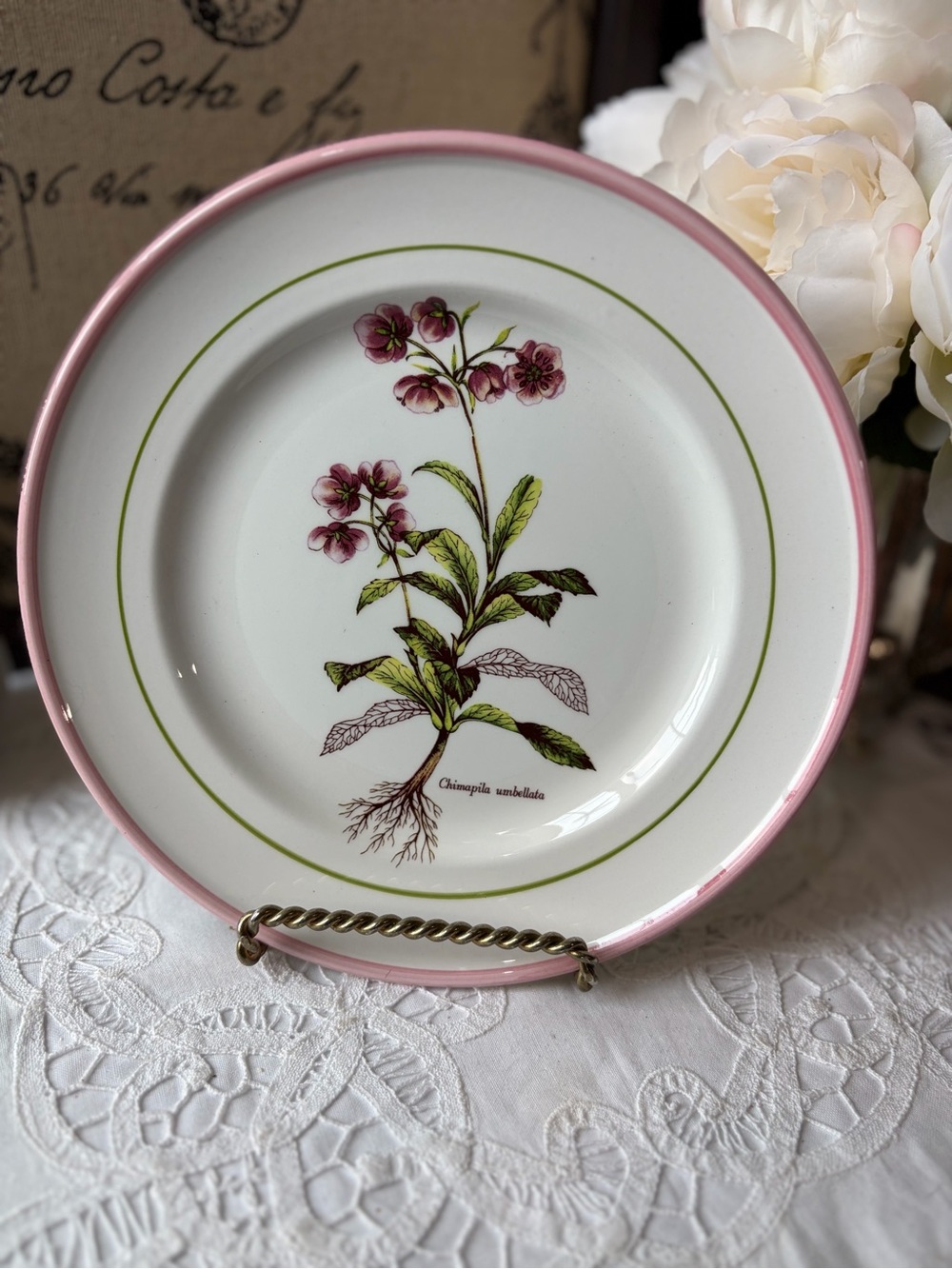 Primula botanical salad plate white & pink floral